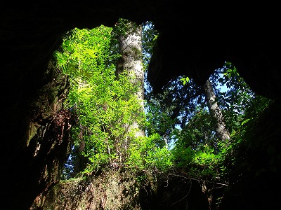 屋久島09.07 055.jpg