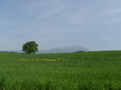 盛岡 007.jpg