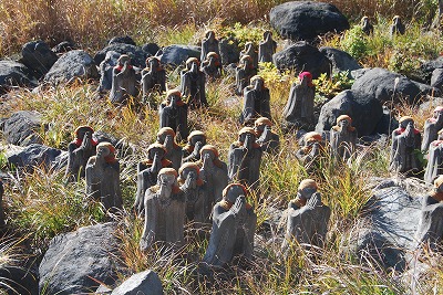 DSC_0192.jpg