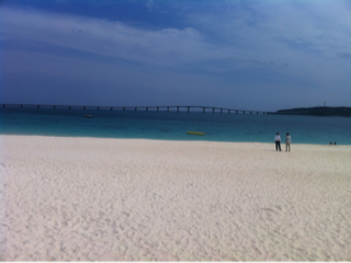 image-20110422161255.png